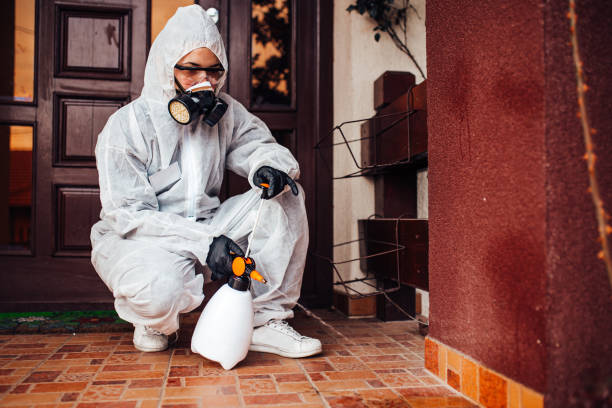 Reliable Ant Control contractor in Gordonsville, VA by Show Me Pest Control